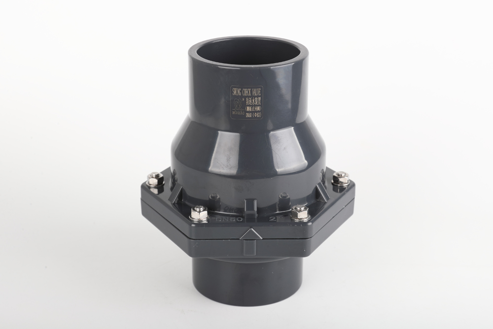 大武口翻板式止回阀